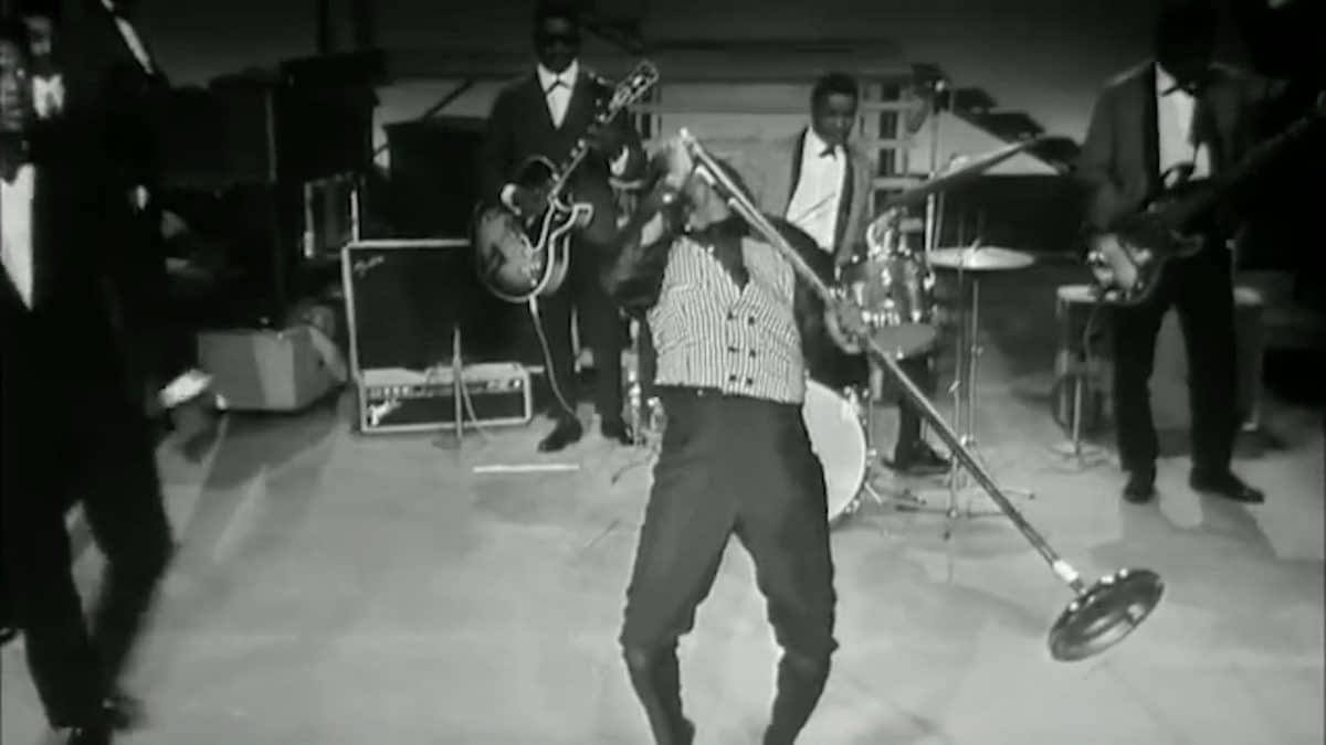 Love is the Message, the Message is Death 