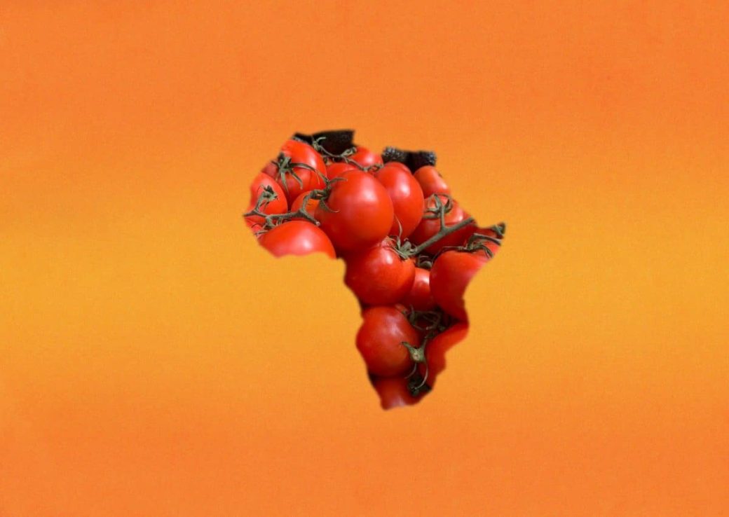 Snapshots taken along the way