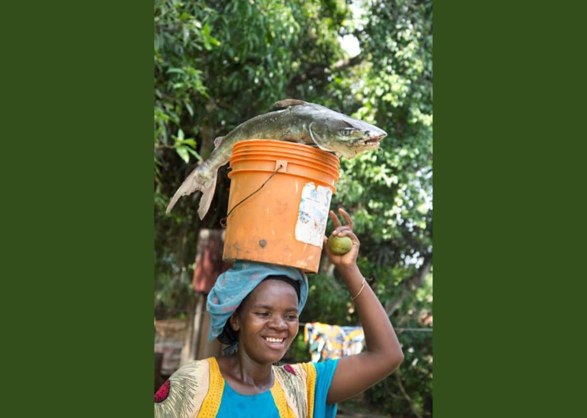 In Praise of the Ordinary