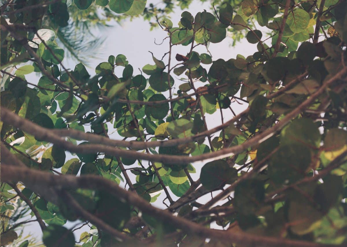 Wilderness: In Search of Belonging
