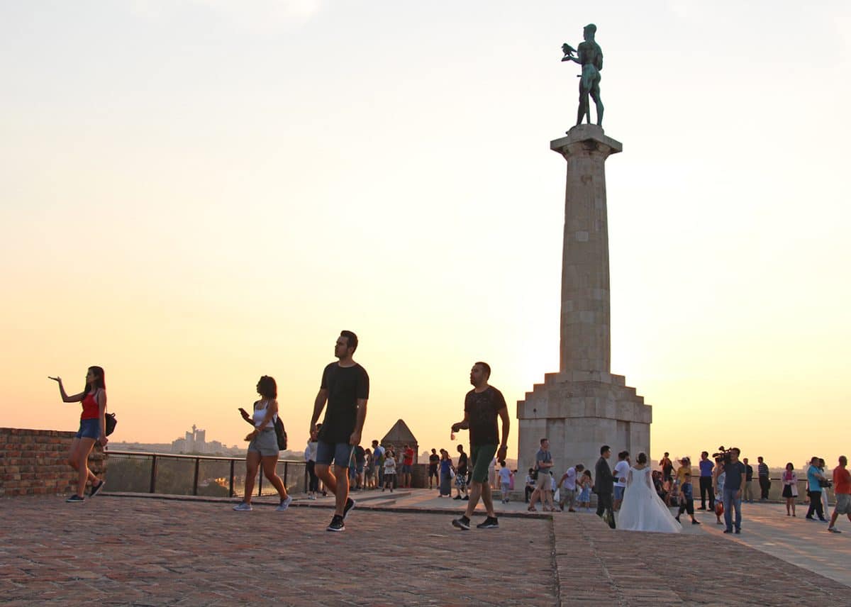 Monument to an unknown gorilla