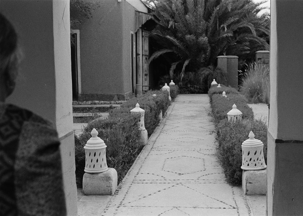 A figure looking onto a path lined with lanterns and shrubs.