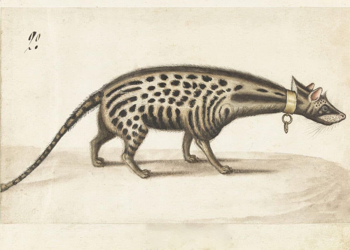 The most wonderful object in the world